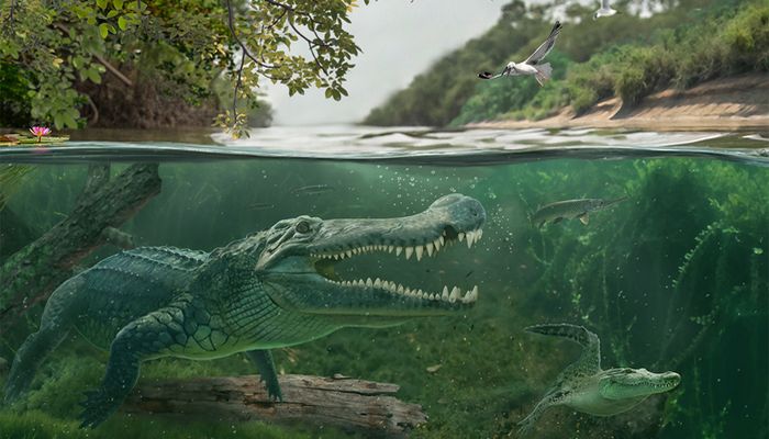 Deinosuchus, crocodile géant tueur de dinosaures