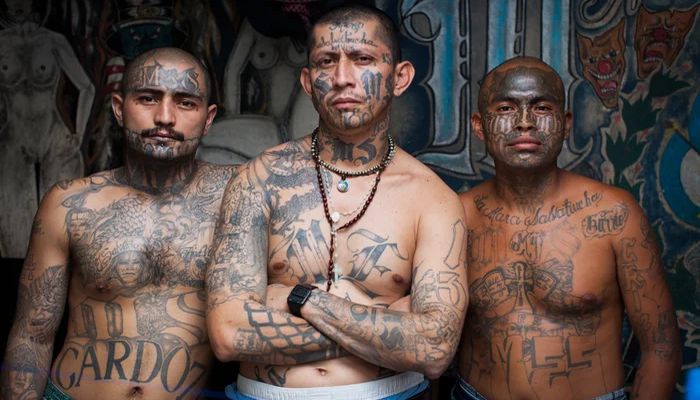Top 6 des gangs de rue les plus violents