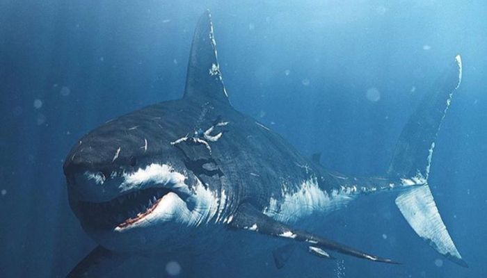 Megalodon, un super requin mortel