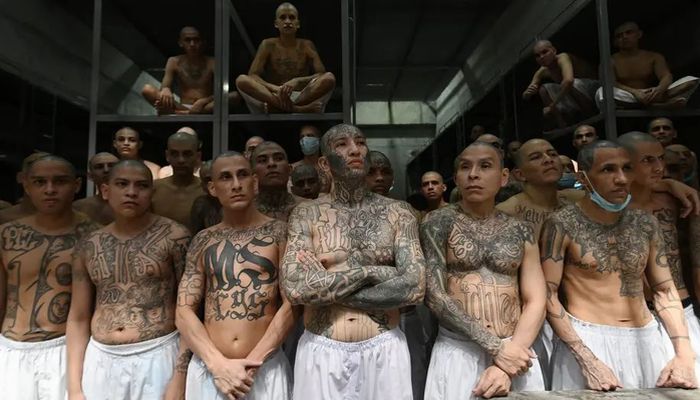 MS-13 (Mara Salvatrucha)