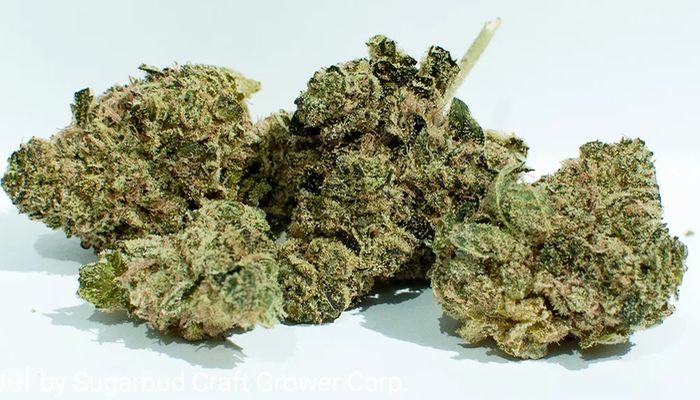 Mule Fuel