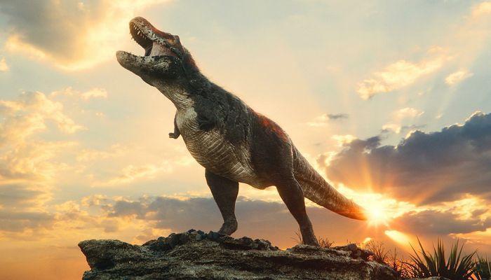 Le T-Rex est la référence de la férocité chez les dinosaures